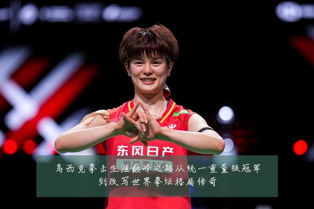 乌西克拳击生涯巅峰之路从统一重量级冠军到改写世界拳坛格局传奇