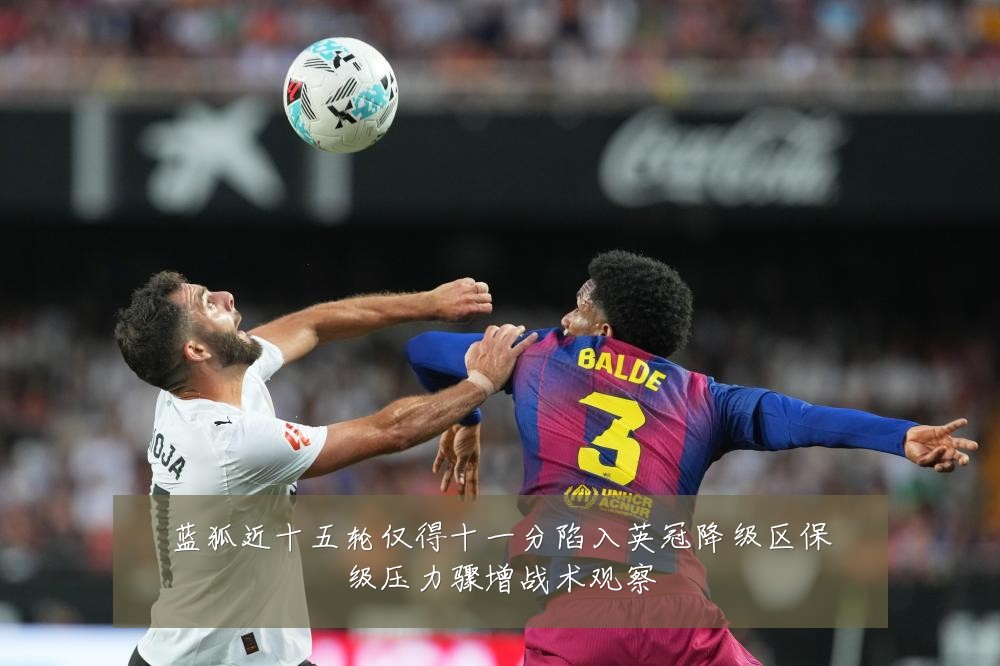 蓝狐近十五轮仅得十一分陷入英冠降级区保级压力骤增战术观察